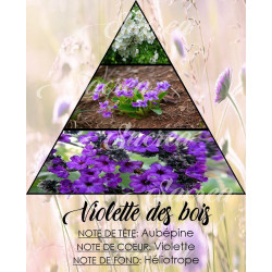 Bougie Violette des bois