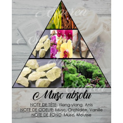 Musc absolu